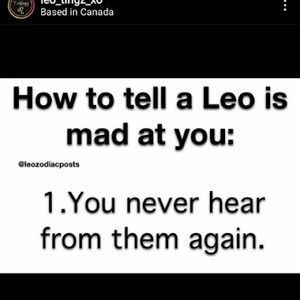 Meet your Posher, Dorothy